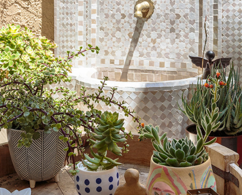 Tiled mosaic Moroccan water feature and small plant collection