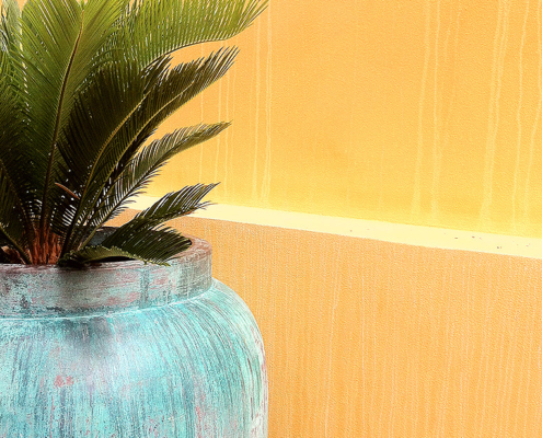 Touch Interiors patio mustard yellow wall with verdigris pot plant