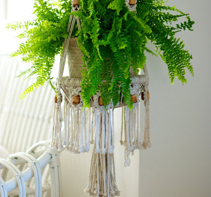 Macrame plant hanger with fern plant