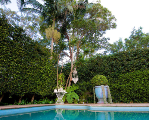 Pool with dramatic potted plants in blue color